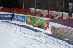 2008_02172Werbelauf0019