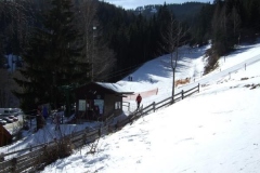 2008_02172Werbelauf0034