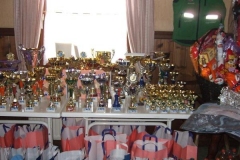2008_02172Werbelauf0042