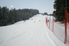 IMGP1182