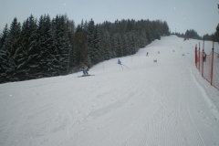 IMGP1184