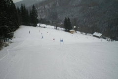 IMGP1185