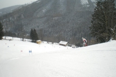 IMGP1186