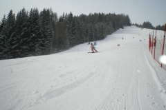 IMGP1187
