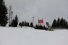 img_8773_12861571464_o