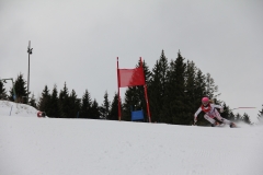 img_8793_12860951713_o