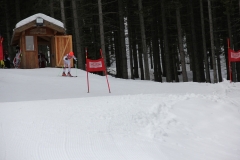 img_9016_12867719354_o