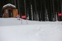 img_9017_12867702934_o
