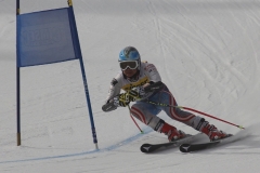Vm2017_85