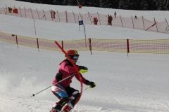 sl-training-31.12.-144