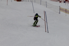 sl-training-31.12.-172