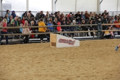 Aprpos-Pferd-Arena-nova-4.Okt_.2019-015
