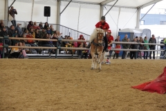 Aprpos-Pferd-Arena-nova-4.Okt_.2019-032