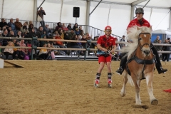 Aprpos-Pferd-Arena-nova-4.Okt_.2019-033