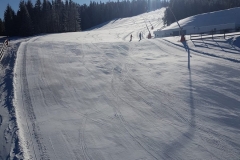 20200310-Stuhleck-at-13.56.46-4