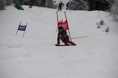 IMG_2905
