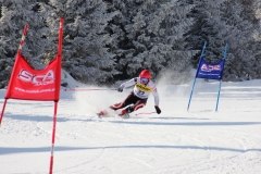 IMG_3107-Kopie