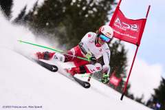 (C)FotoLois.com, Alois Spandl, SK-X SPORTOPTIKER NÖ MastersCup, RTL am Feistritzsattel in Trattenbach, So 5. März 2023.