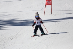 IMG_4120-b