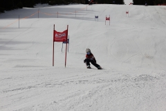 IMG_4186-a
