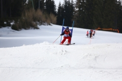 IMG_4187-b