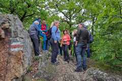 IMG-20230515-WA0003