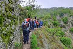 IMG-20230515-WA0005