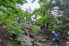 IMG-20230515-WA0006