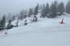 IMG-20240217-WA0014