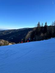 IMG-20241229-WA0047