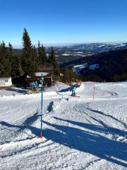 IMG-20250119-WA0013