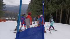 IMG-20250406-WA0012