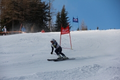 IMG_4995_c