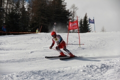 IMG_5041_c