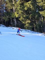 IMG-20251228-WA0059