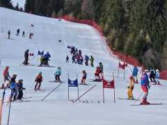 WhatsApp-Image-2026-02-08-at-15.11.36-1