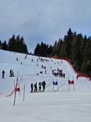 WhatsApp-Image-2026-02-08-at-15.11.36