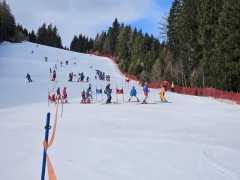 WhatsApp-Image-2026-02-08-at-15.11.37