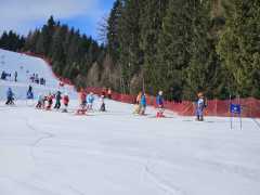 WhatsApp-Image-2026-02-08-at-15.11.38