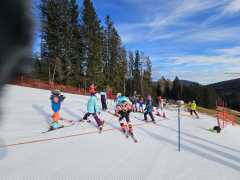 WhatsApp-Image-2026-02-08-at-15.11.47-1