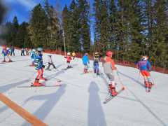 WhatsApp-Image-2026-02-08-at-15.11.47