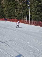 WhatsApp-Image-2026-02-08-at-15.11.48