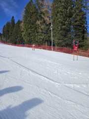 WhatsApp-Image-2026-02-08-at-15.11.49-1