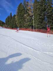 WhatsApp-Image-2026-02-08-at-15.11.49