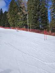 WhatsApp-Image-2026-02-08-at-15.11.50-2