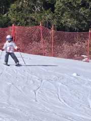 WhatsApp-Image-2026-02-08-at-15.11.50-3