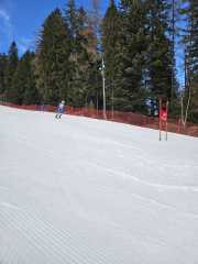 WhatsApp-Image-2026-02-08-at-15.11.50