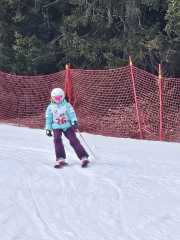 WhatsApp-Image-2026-02-08-at-15.11.51-2