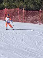 WhatsApp-Image-2026-02-08-at-15.11.51