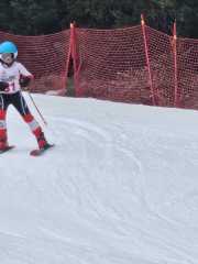 WhatsApp-Image-2026-02-08-at-15.11.52-2